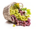 Bunches of white and pink grapes Royalty Free Stock Photo